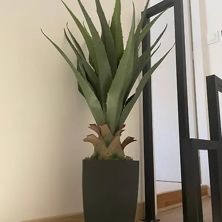 Maison Familiale De Centre-ville Hébergement de vacances *