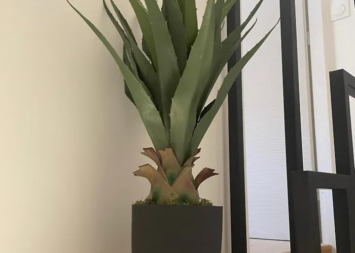 Maison Familiale De Centre-ville Tatil Evi *